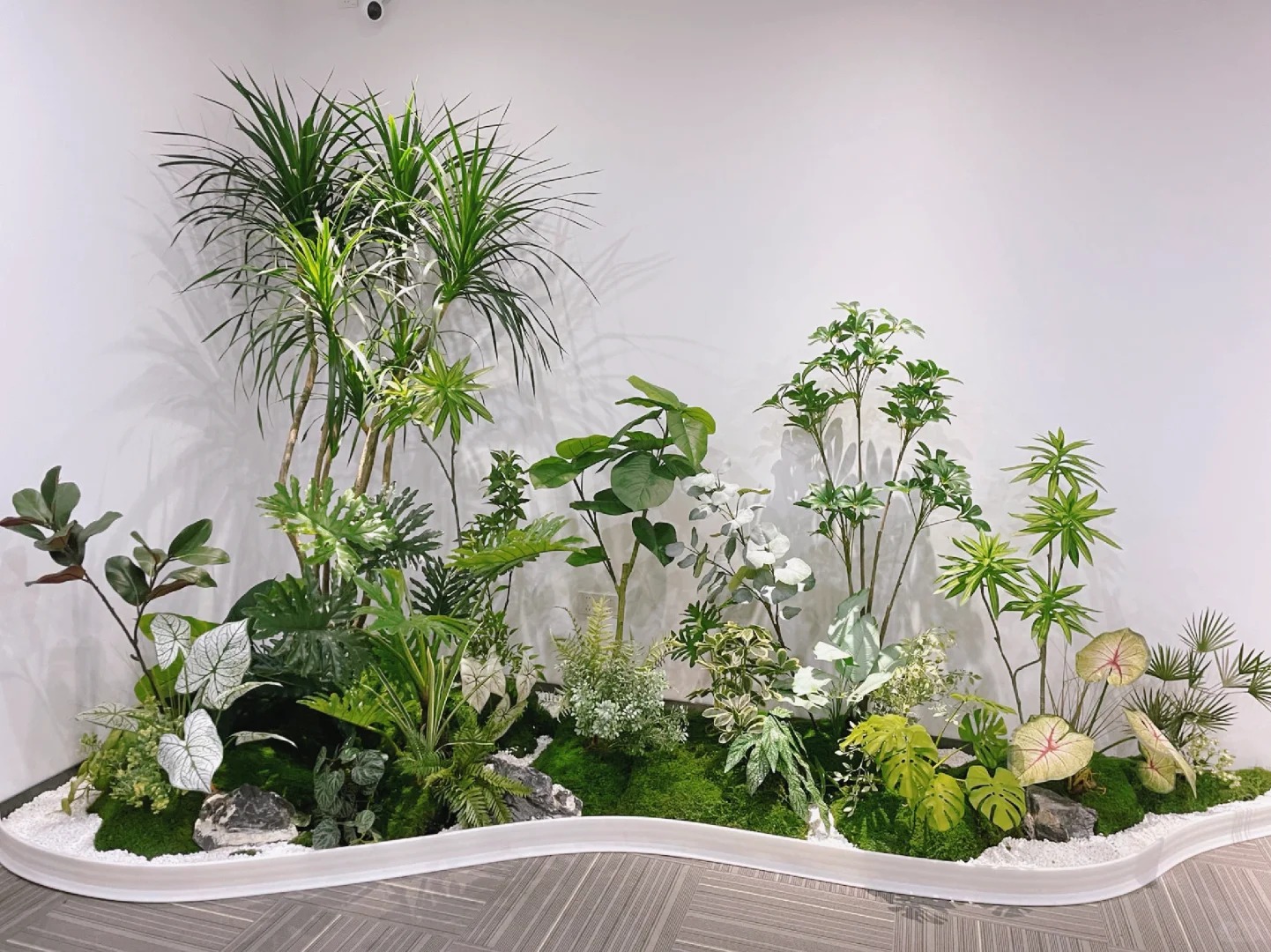 专业花卉租摆,畅享宁波慈溪的清新绿意